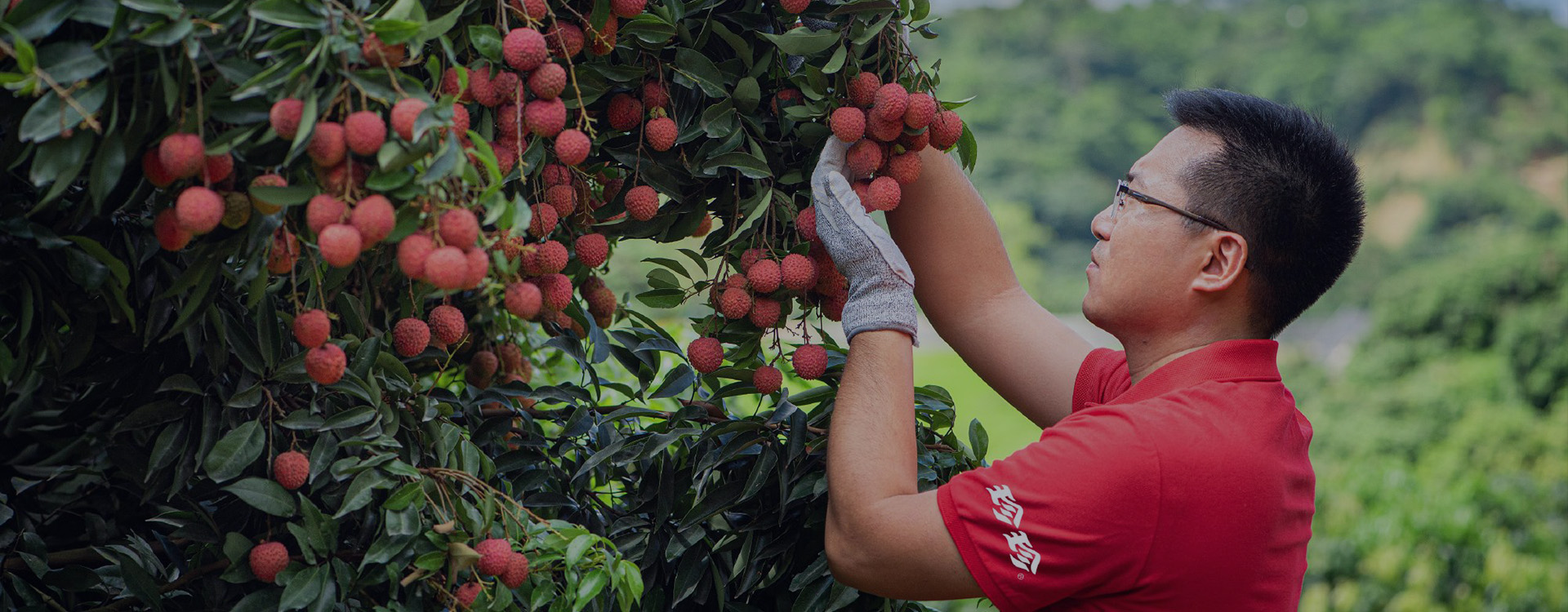 澳泰（廣東）生物科技有限公司
